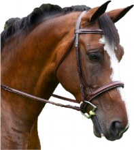 Del Mar Bridle