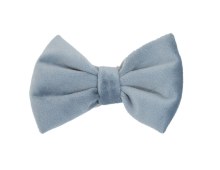 Kentucky Dog Bow Tie