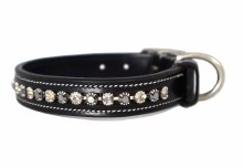 Impulsion Dog Collar (12")
