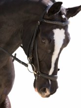 Red Barn Drop Noseband (Brown/Cob)