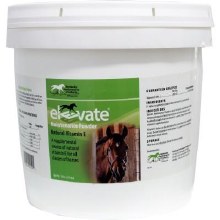 Elevate Maintenance Powder (10 lb)
