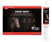 Energy Boost 60 g (6 Pack)