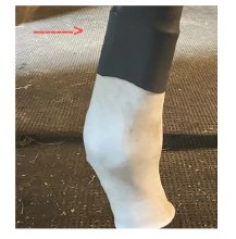 EquineSleeve 1" x 4" Solid (Black)