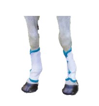 Fly Turnout Socks (Full - White/Teal)