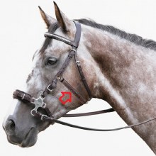 Hackamore Stabilizer (Horse)