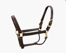 Walsh Leather Halter with Snap 1" (Havana/Cob)