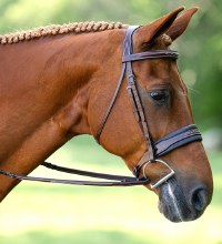 Lexington Bridle (Full)