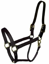 Walsh Nylon Breakaway Halter 3/4" ( Black - 5)
