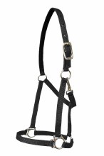 Nylon Halter with Snap 1" (Black/Oversize)