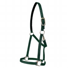 Nylon Halter with Snap 1" (Hunter Green/Oversize)