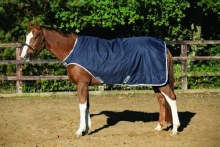 Rambo Softshell Walker (Small)