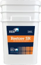 Restore SR