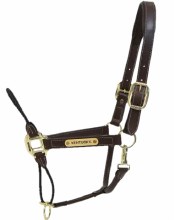 Kentucky Leather Rope Halter (Cob)