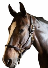 Walsh Rope Noseband Halter (Horse)
