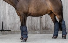 Kentucky Shipping Boots (4 Pack)