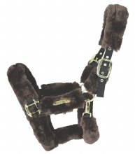 Kentucky Shipping Halter (Brown/Full)