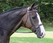 Sonoma Bridle (Cob)
