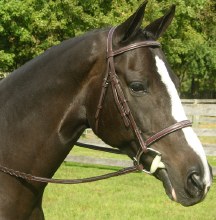 Red Barn Sovereign Bridle (Full)