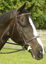 Sovereign Bridle (Small Pony)