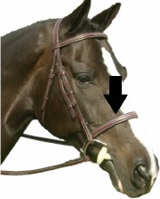 Red Barn Sovereign Noseband (Oversize)