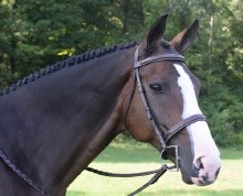 Black Oak Spruce Bridle (Cob)
