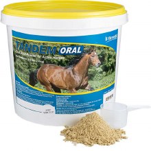 Tandem Oral