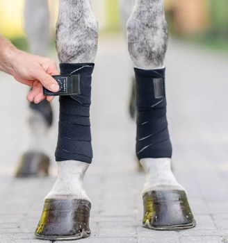 EquiFit T-Sport Wrap (Horse)