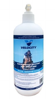 Velocity Carnosine Emulgel (16oz)