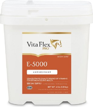 E- 5000