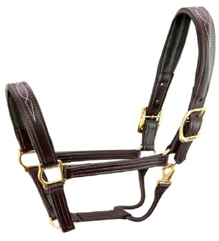 Walsh Fancy Padded Halter (Cob/6)
