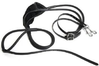 Walsh Stallion Support (Regular)