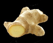 Ginger