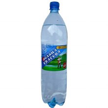 Mineral Polyana Water