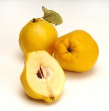 Quince Big
