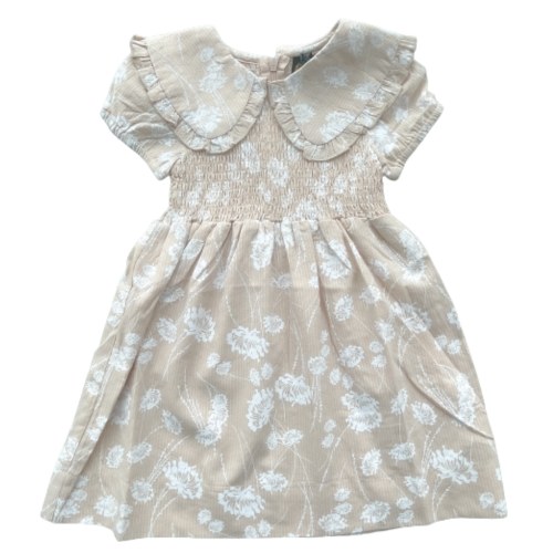 PETERPAN COLLAR LINE DRESS