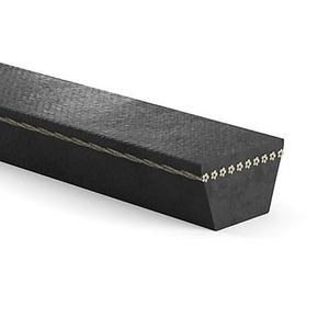 Belt, BP48 Predator V-Belt