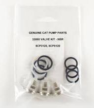 Check Valve Kit 33060 CAT Pump