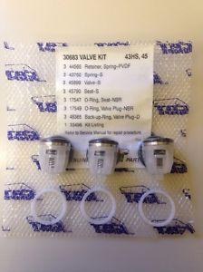 30683, Check Valve Kit for Cat Pump 45G