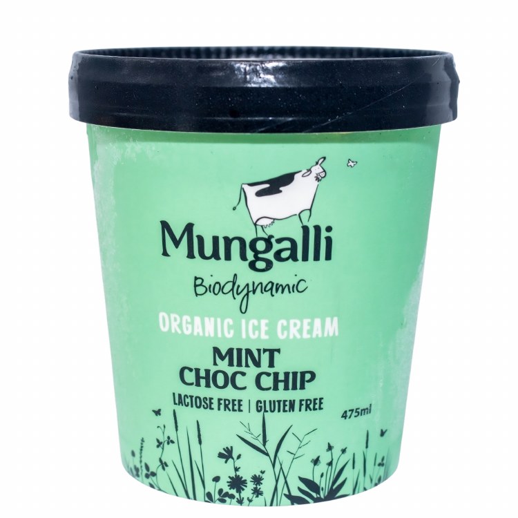 Ice Cream Choc Mint Choc Chip  475ml L/Free
