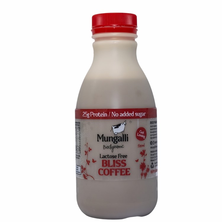 Iced Coffee Bliss 500mL