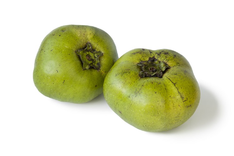 Black Sapote each