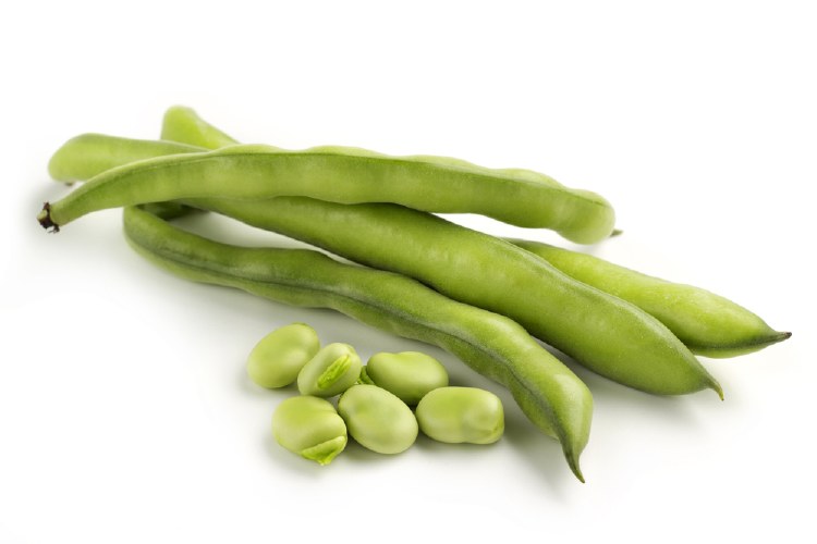Beans Broad 500gm