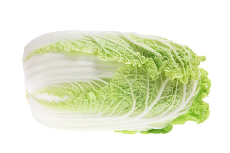 Cabbage Wombok Whole