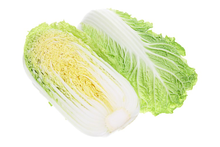 Cabbage Wombok Half