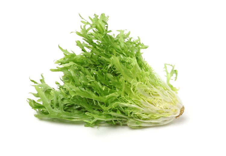 Lettuce Endive Bunch