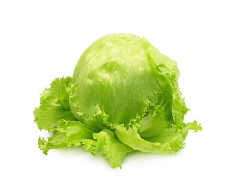 Lettuce Iceberg Each