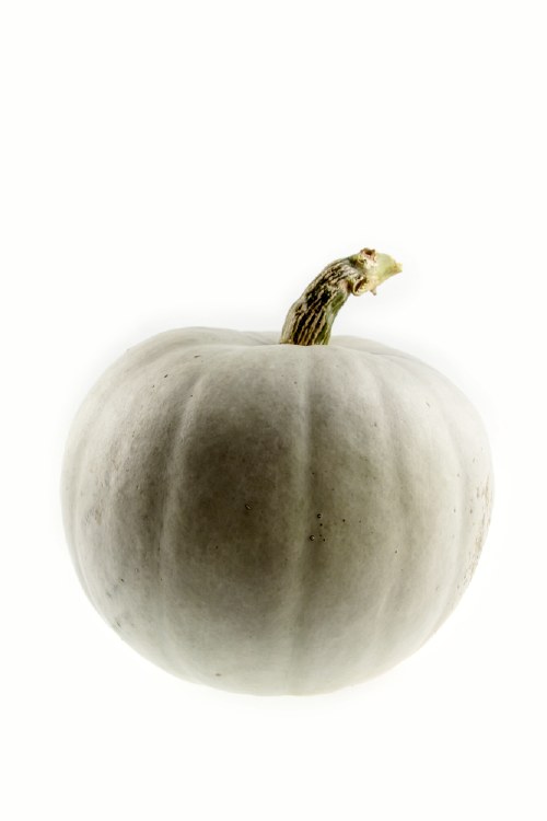 Pumpkin Sweet Grey 500gm