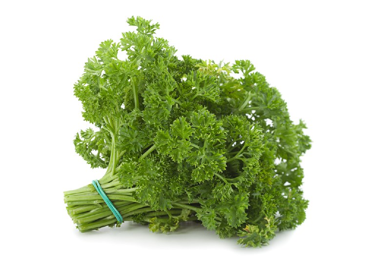 Herb Parsley Curly Bunch