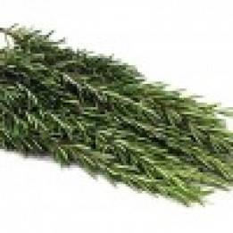 Herb Rosemary Bunch