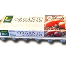 Eggs Jumbo 800g Dozen